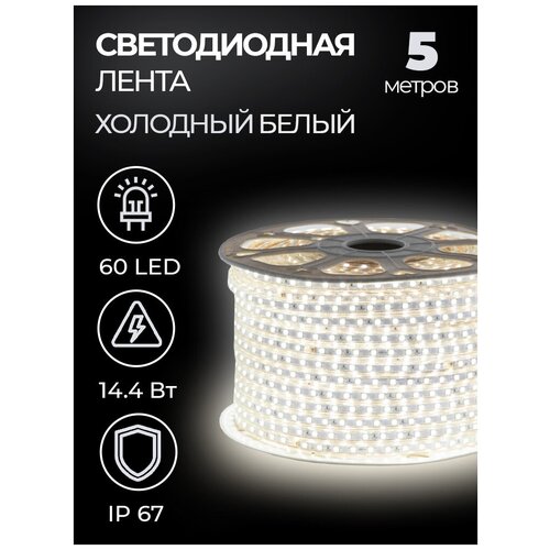   SMD 5050, 60 LED, 220 , 14.4 , IP67,   (6500 ),  1345