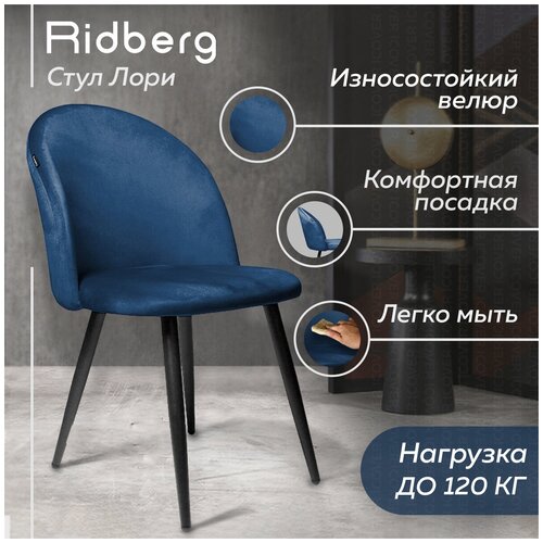      Ridberg  Velour (: Coffee; : 46x46x82; : ),  3258