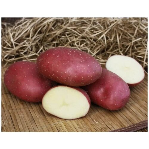 Картофель семенной Маяк ( 2 кг в сетке 28-55, элита ), цена 806р