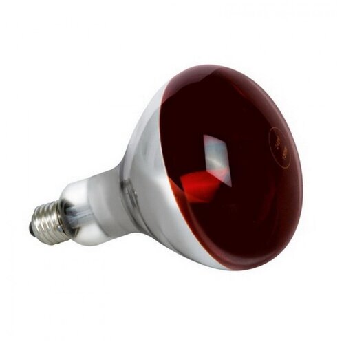   LightBest ERK R125 100W E27 Red ( 100)     ,  480