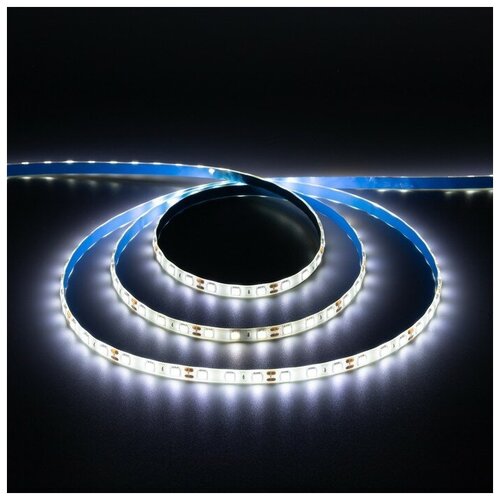 ������������ ����� Ecola PRO, 12�, SMD5050, 5 �, IP65, 14.4��/�, 60 LED/�, 4200�, ���� 1273�