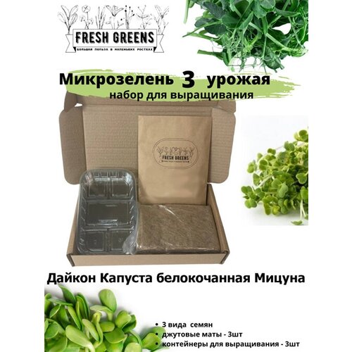     Fresh Greens (   ),  386