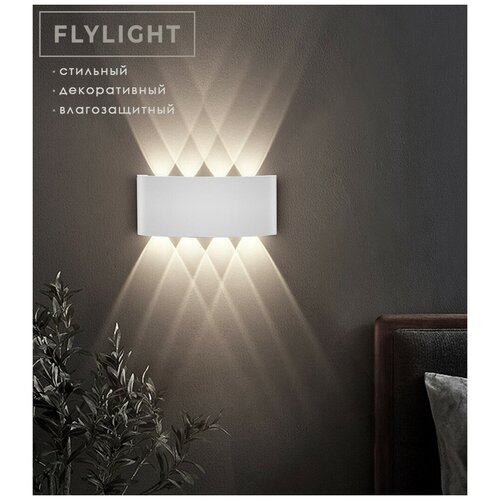 ,   LED Flylight GQ8   - 8 ,  ,   ,  4979