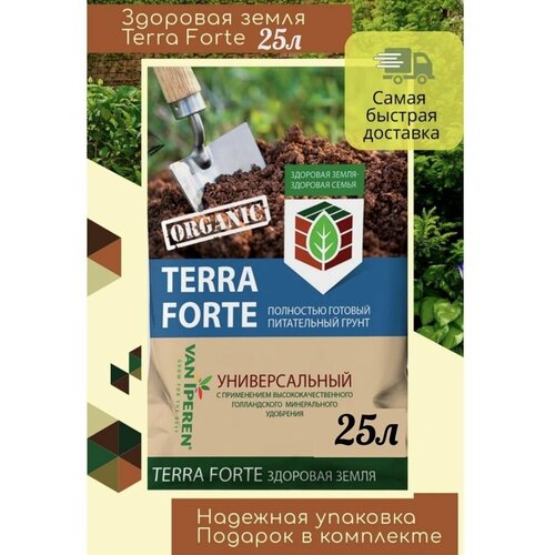   ,  Terra Forte,  , 25,  600