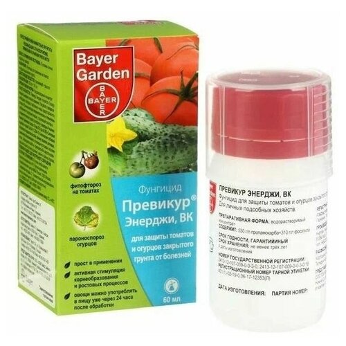 �������� �������, �� 60 ��, Bayer -2��, ���� 1799�