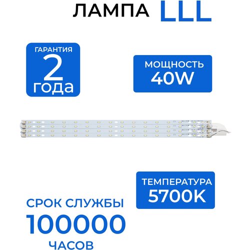  (LED)   LLL FL-P-10W-02 5700K /      /     /,  1099