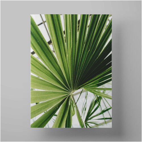    , Nature and plants 5070 ,    ,  1200