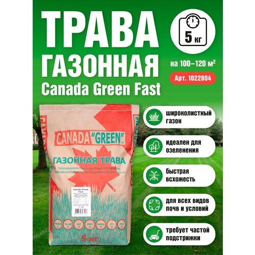 Газонная трава семена Канада Грин Быстрорастущий FAST 15 кг/ мятлик, райграс, овсяница семена для газона, цена 5212р