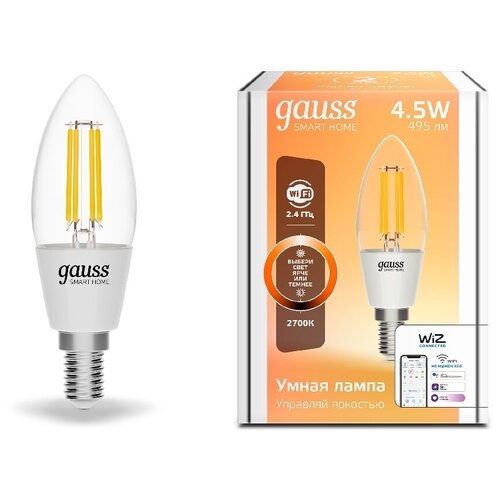  Wi-Fi  Gauss Smar Home Filament 35 4,5W 495 E14  /, ,  888