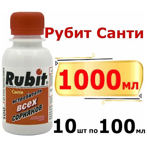  RUBIT SANTI    100 , 2 .,  599