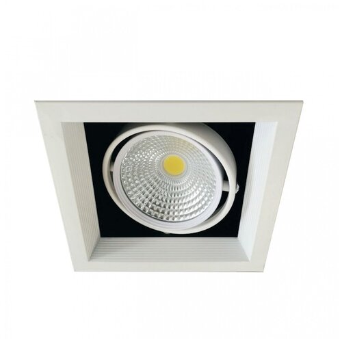     LED 1*20W, WH IL.0006.2115,  831