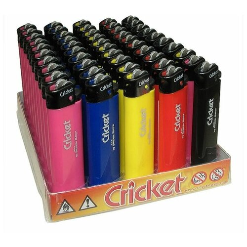  ,  Cricket () New Standart, 1  ( 50 ),  1500