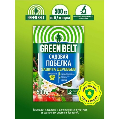   GREEN BELT ( ) 500. 2.,  242