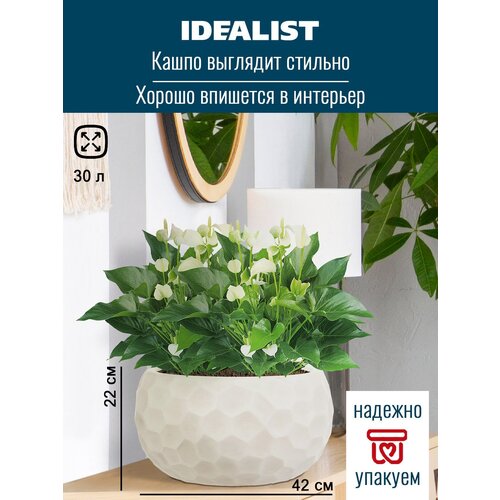     Idealist Lite  ,  , D42 H22 cm, 30 .,  4420