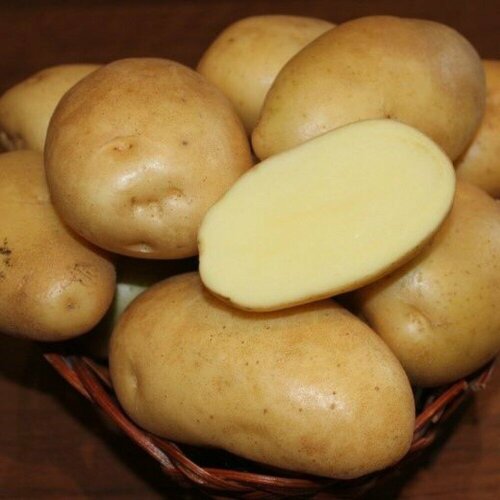 Картофель семенной Гулливер (2 кг), цена 500р