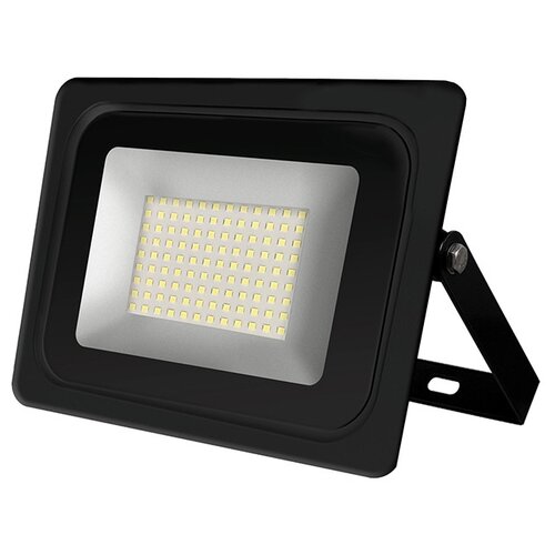  LED 100W 6500K IP65   IONICH,  833