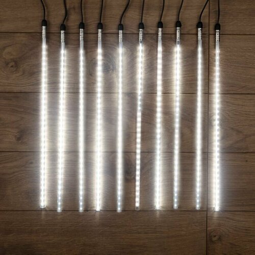 256426 NEON-NIGHT    24 ,  10 .x50 ,  100 , 600 LED, ,  NEON-NIGHT 256-426,  9469