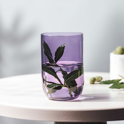 ����� �������� Lavender Long drink like. by Villeroy & Boch, 2 ��. 385 ��, ����������� ������, ���� 3950�