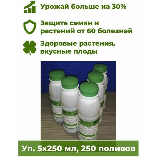 ����������� ������ 5 ���.�250�� - ����������� ��� �������� ������ ����. ����� �������� �� ����� 60 ��������, ����������� +30%., ���� 1325�