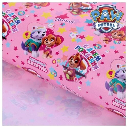 ������ ����������� ��������� Paw Patrol 