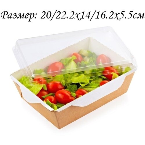 �������� 25 ����.�������� � ���������� ������� OSQ OPSALAD 1000. ������: 20/22.2x14/16.2x5.5��., ���� 1370�
