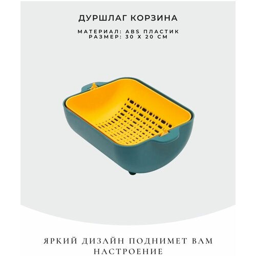 ������� �����������, ���� 1855�