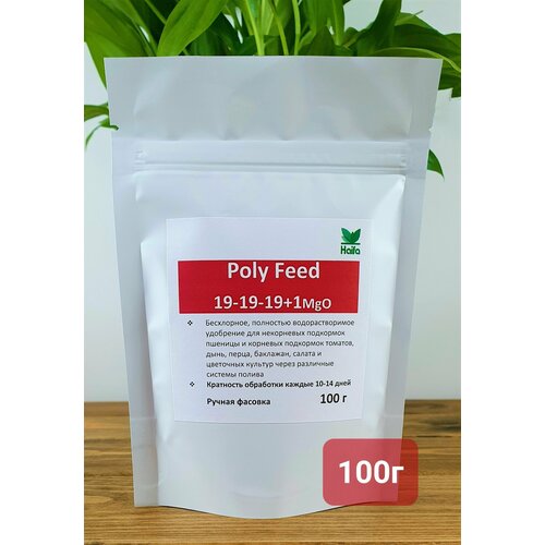  (19-19-19), Poly-Feed, 200,  580