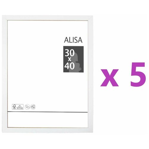  Alisa, 30x40 ,  , 5 ,  2930