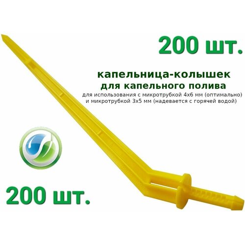 - (200 .)   , ,  1300