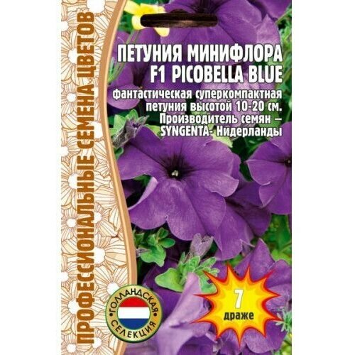  Picobella Blue SYNGENTA  F1 7   ,  226