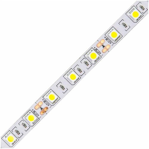 / /  Volpe   Volpe 14,4W/m 60LED/m 5050SMD   5M ULS-Q221 5050-60LED/m-10mm-IP20-DC12V-14,4W/m-5M-6500K UL-00004352,  951