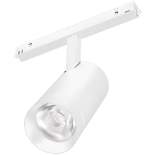   MAG-ORIENT-SPOT-R65-20W Day4000 (WH, 24 deg, 48V, DALI) (Arlight, IP20 , 3 ),  9401 Arlight