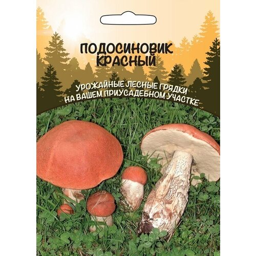 грибы Подосиновик Красный (Урал. Дачник), цена 469р