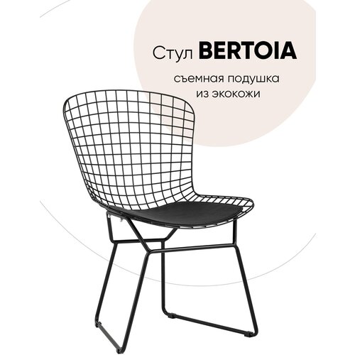���� ��������� Bertoia ������ � ������ �������� 1��, ���� 5712�