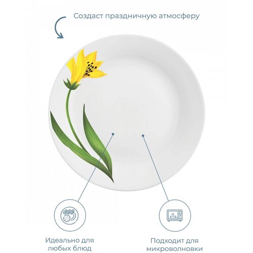 ������� �������, La Opala, Ivory, Canary Arch, 270��, 6��, ���� 2033�