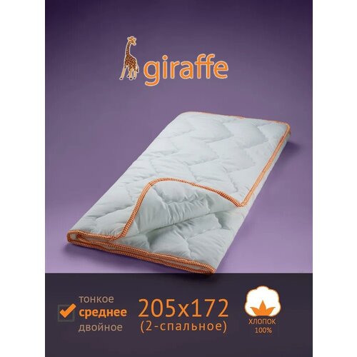  Giraffe  (, ), 205x172 ,  3094