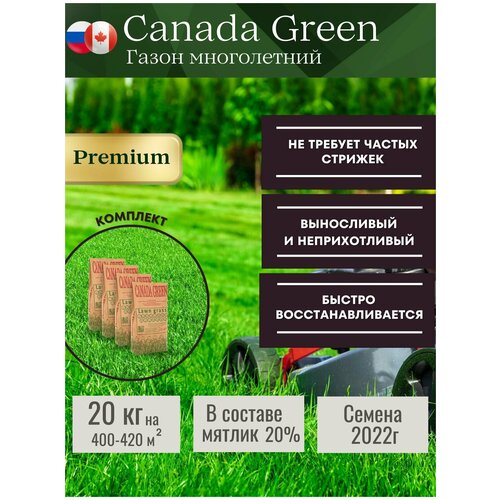 Газонная трава семена 20 кг, Газон Канада Грин 