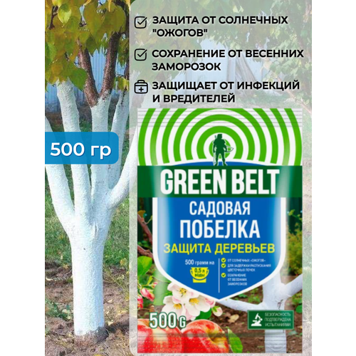   Green Belt ( ) 500       ,  214