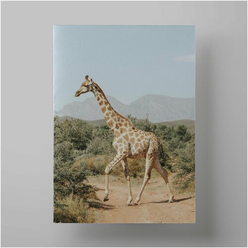  , Giraffe 50x70 ,    ,  1200