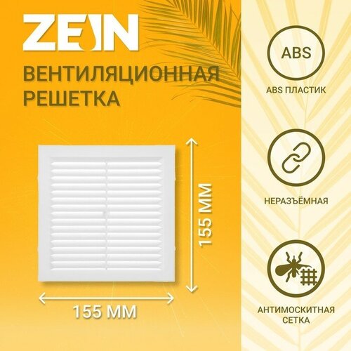   ZEIN  155, 155 x 155 ,  , ,  240