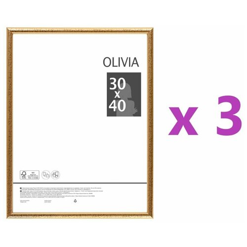  Olivia, 30x40 , ,  , 3 ,  1735