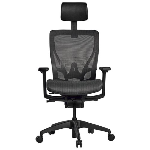 ������������ ������������ ������ SCHAIRS AEON-A01B CHARCOAL, ���� 45200�