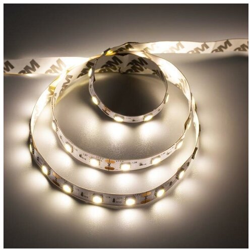   1 , IP20, SMD5050, 60 LED/, 14.4 /, 12 , 4200,  207