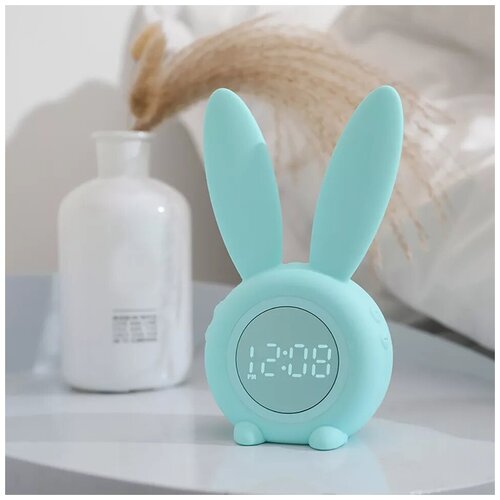         - bunny,    ,  , ,  1600