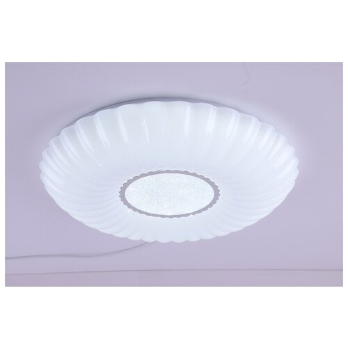 Camelion LBS-1205 (. LED -, 68 , 3000-6000K, 4800),  4451