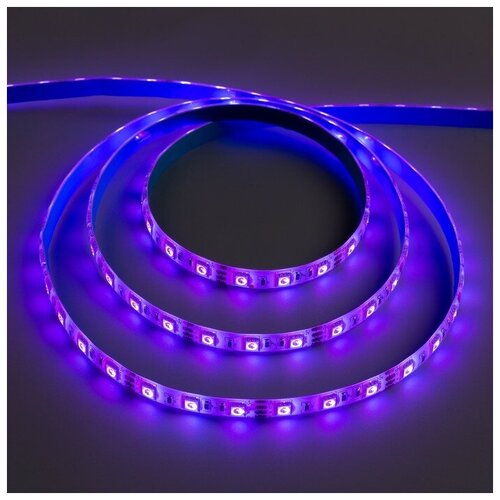 C  PRO 5 , IP65, SMD5050, 60 LED/, 14.4 /, 12 , RGB,  823