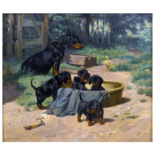        (Witte and her puppies)   35. x 30.,  1120