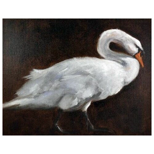     (Swan) 3 51. x 40.,  1750