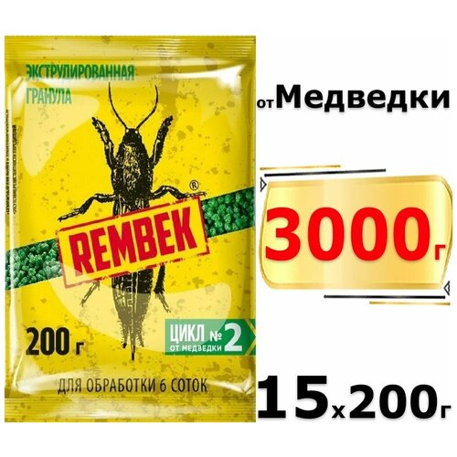   : 2 .   200   .,  925 Rembek