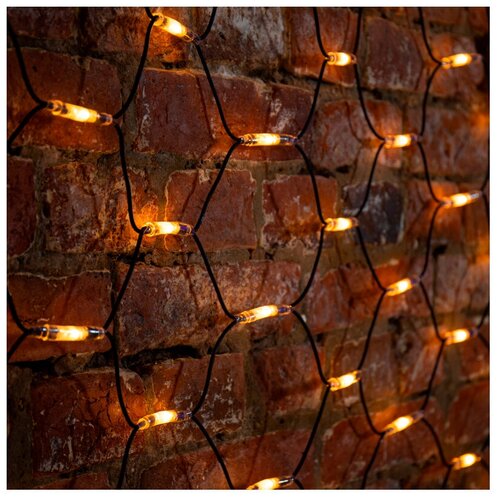   Neon-Night  2x1.5m 288 LED Warm-White 215-026,  7232 NEON-NIGHT